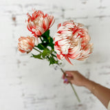 Pink Mum Spray