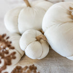 White pumpkins with brown stems on a textured surface with pinecones.