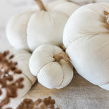 White pumpkins with brown stems on a textured surface with pinecones.