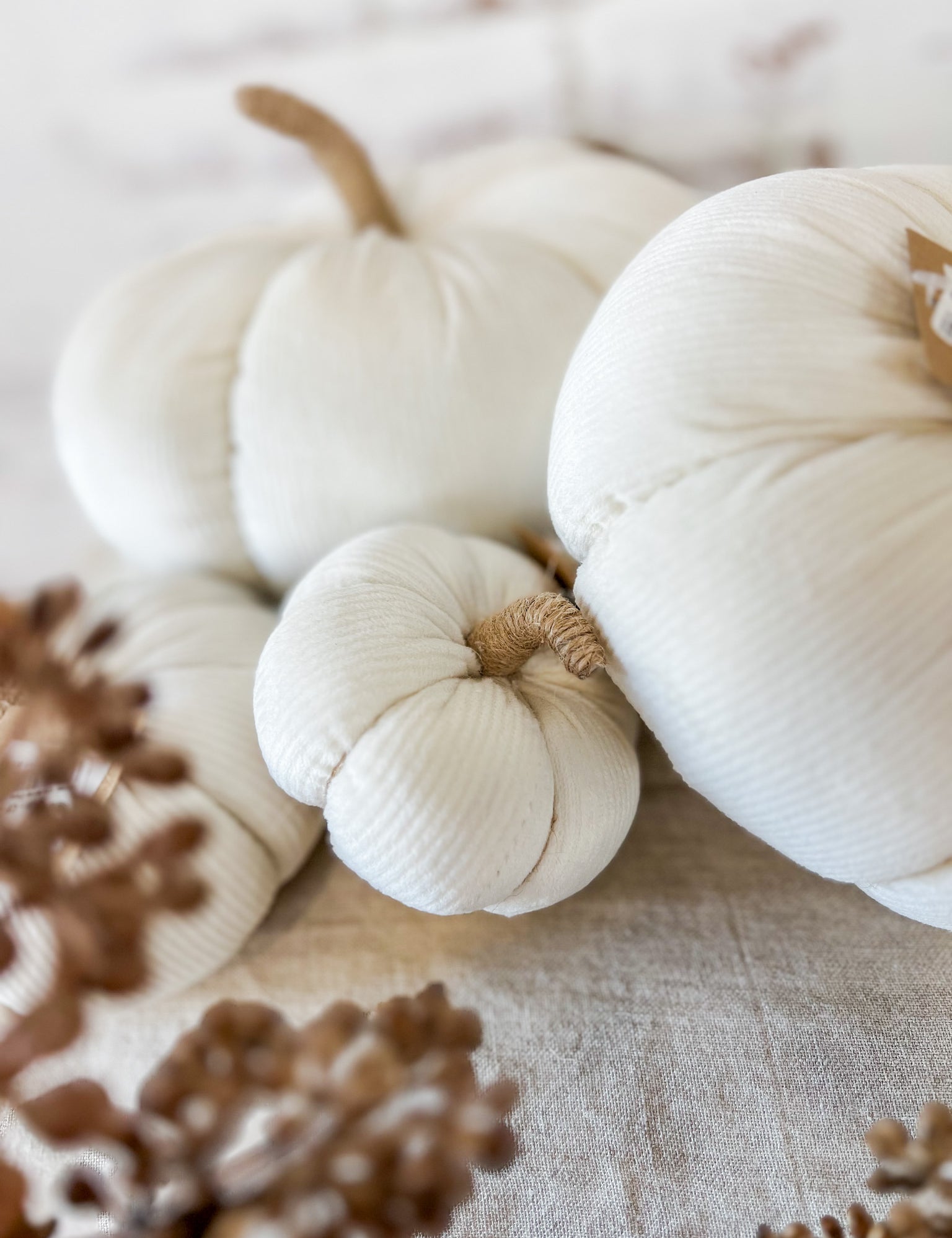 White pumpkins with brown stems on a textured surface with pinecones.