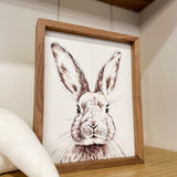 Simple Rabbit