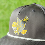 Ezra Collegiate Hat