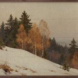 January Timber Left Slope | 20x16