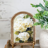 6x8" Soft White Hydrangea Arched Framed Wall Art