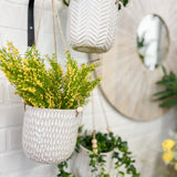 Hanging Planters