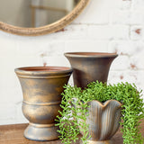 Antique Bronze Scallop Edge Planter | 5.7"