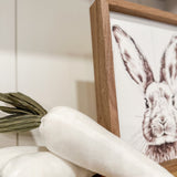 WHITE VELVET CARROT