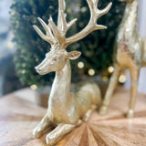 Resin Deer