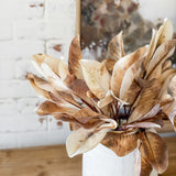 Autumn Magnolia Leaf Pick 19"