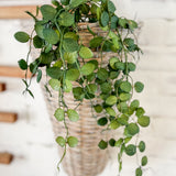 Button Leaf Hanging Spray