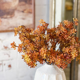 12" Brown Sedum Bundle