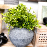 Mini Privet Greenery Pouf