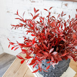 18" Burgundy/Brown Willow Bush