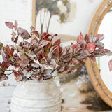 30" Pyrostegia Leaf Branch - Brown