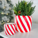 Candy Cane Stripe Planter