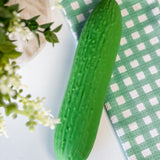 Jumbo Pickle Squishy | Online | Limited Availability