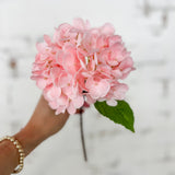 15" Pink Hydrangea Stem