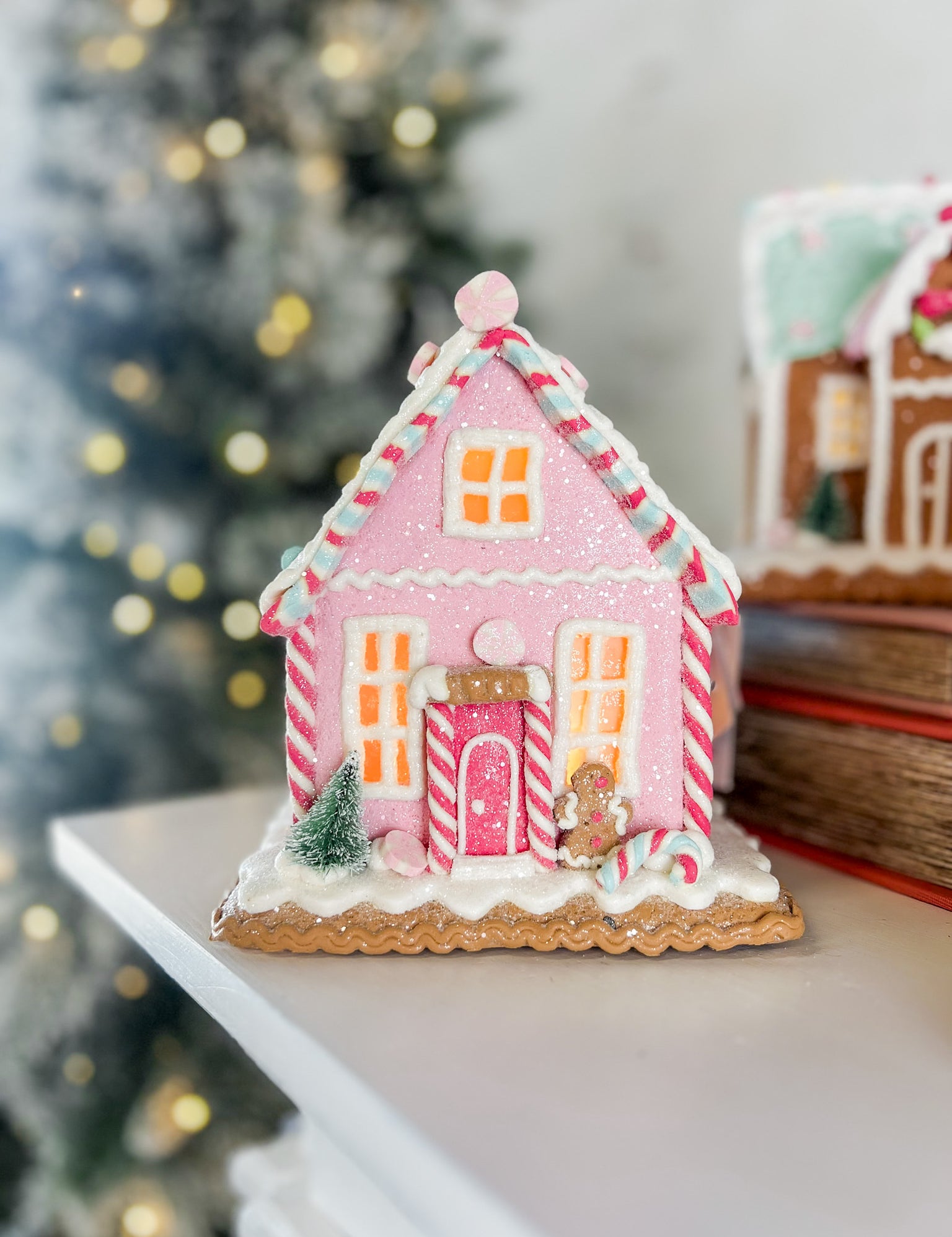 Clay Dough House