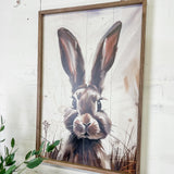 16 x 24" Peeking Brown Rabbit