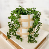 Ceramic Check Planter with Greenery