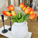 Tulip Bundle