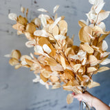 37” Eucalyptus Spray