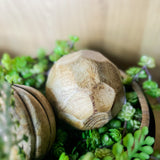 4" Carved Wood Ball