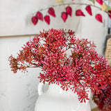 Burgundy Chrysanthemum Bundle