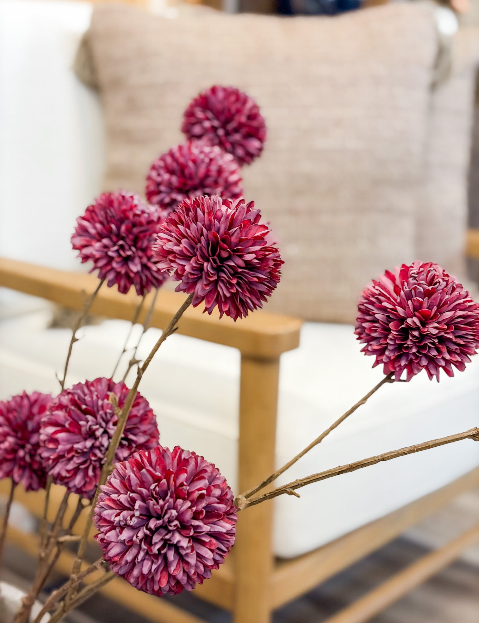 40" Chrysanthemum Stem
