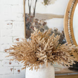 15" Cypress Bush