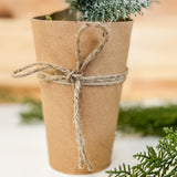 Frosted Evergreen W/ Pinecones