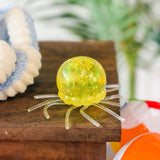 Jellyfish Squishy | Online | Limited Availability