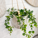 Hanging Planters