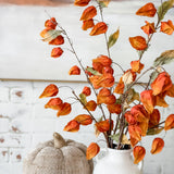 40" Chinese Lantern Lilly Stem