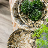 Woven Wall Basket