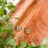 Spark & Shine Earrings