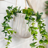 Hanging Planters