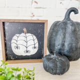 Spider Pumpkin Black - 8x8