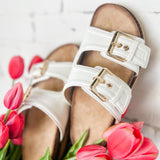 Conceited Shoe