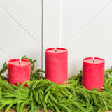 Norfolk Pine Centerpiece