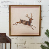 Spotted Deer | 15x15"