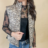 Midnight Lace Mesh Top