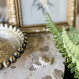 Dainty Pearl Hoop