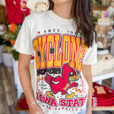 Cyclones Max Graphic