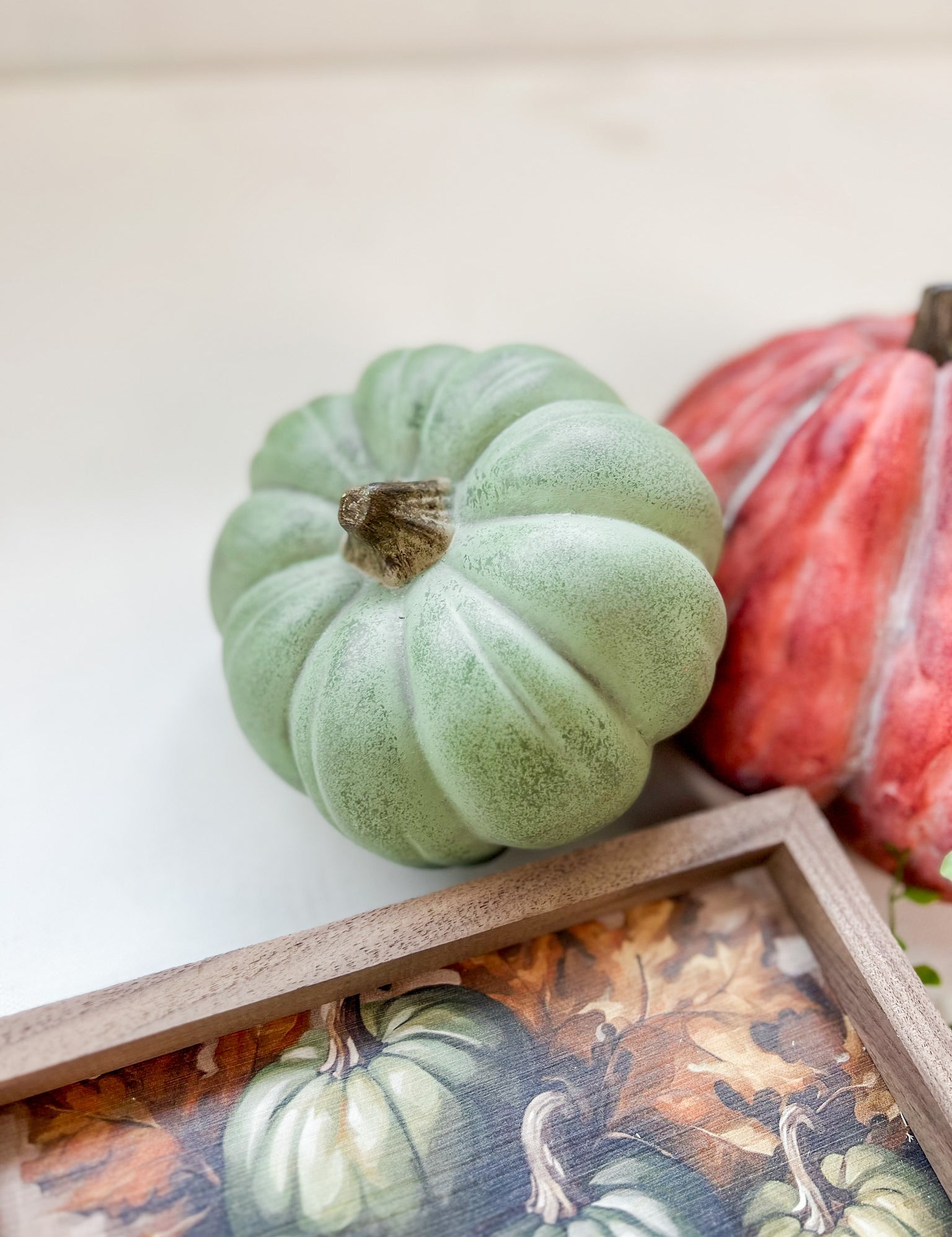 Squatty Pumpkin