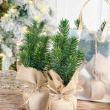 9" Pine Tree In Burlap