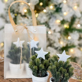 9" Spruce Tree W/star