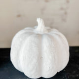 White Terracotta Pumpkin