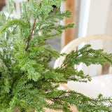 21" Pine Bush