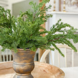 21" Pine Bush